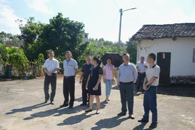 1502095126882068792.jpg 图片1.jpg