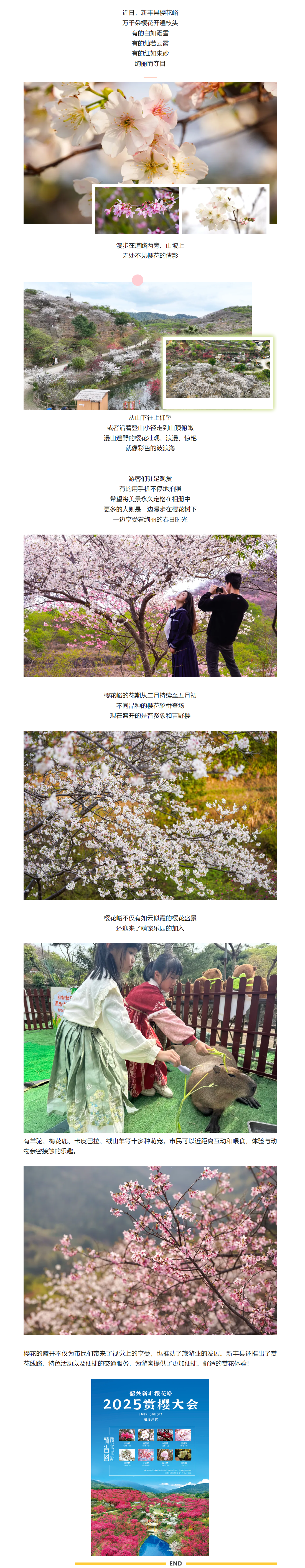 screencapture-mp-weixin-qq-s-mBJy5zHSS6zKwE0kiblalA-2025-03-04-11_15_45.png